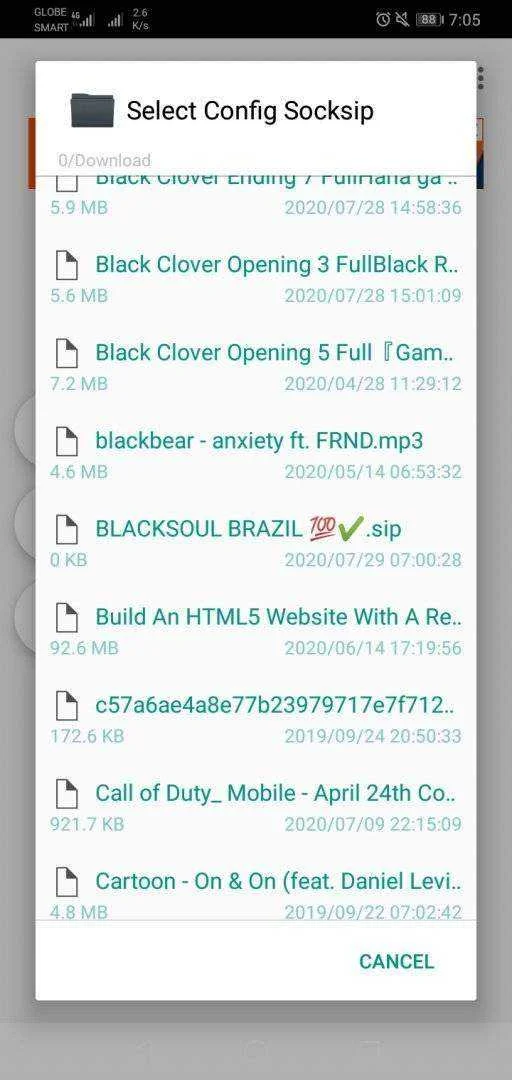 Screenshot_20200729-070535.webp