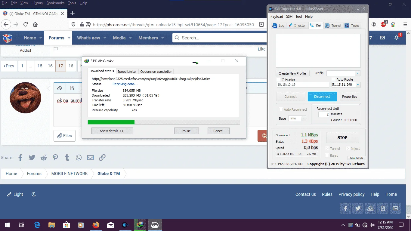 svi2.webp
