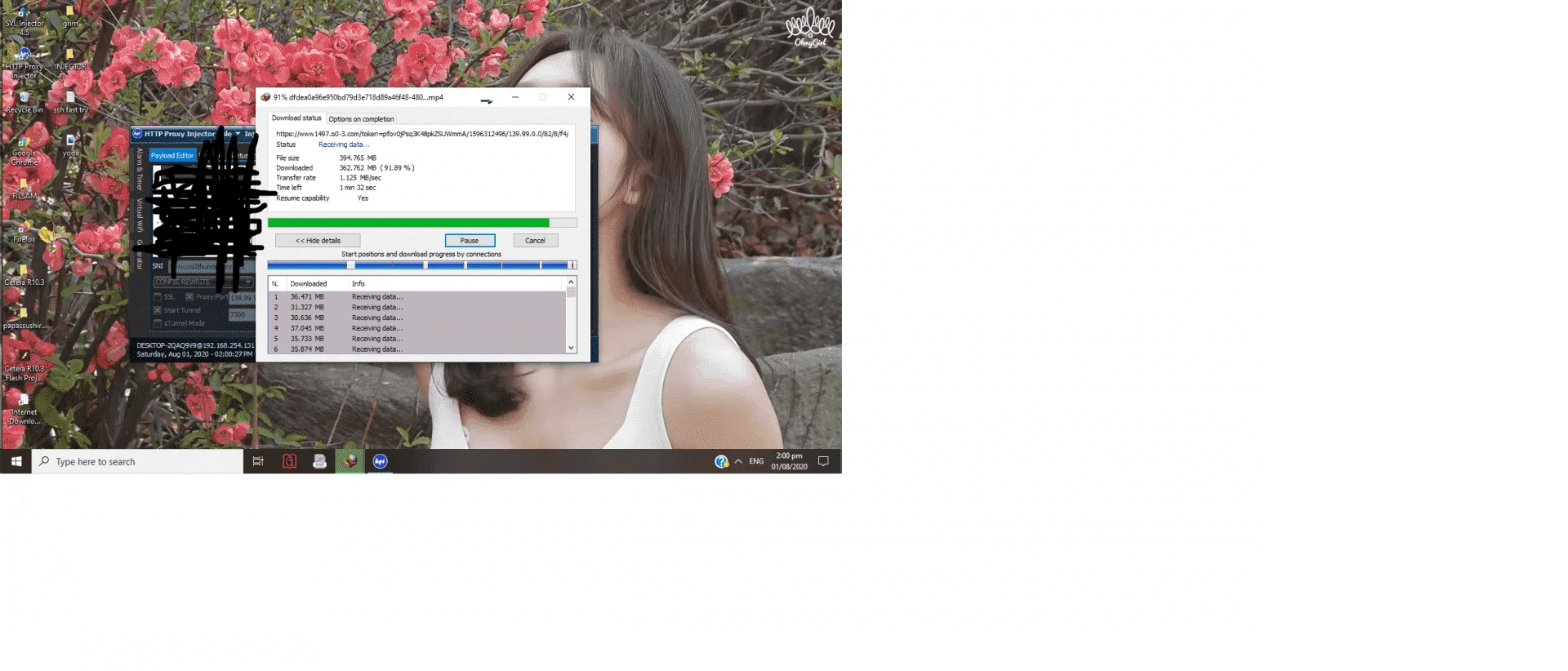 DL SPeed.webp
