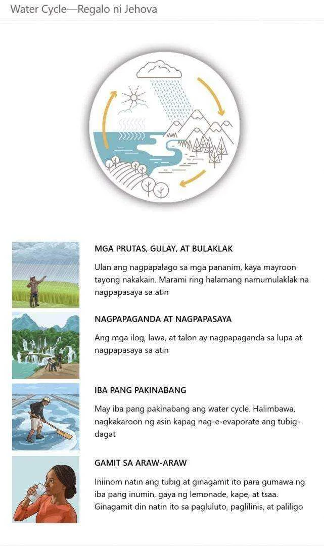 water_cycle.webp