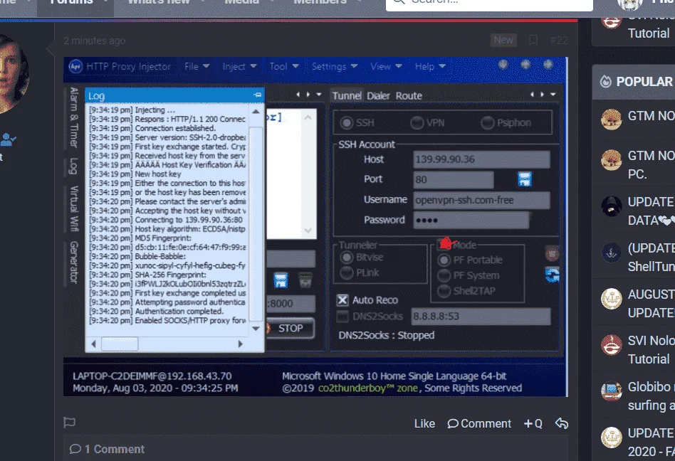 DD.webp