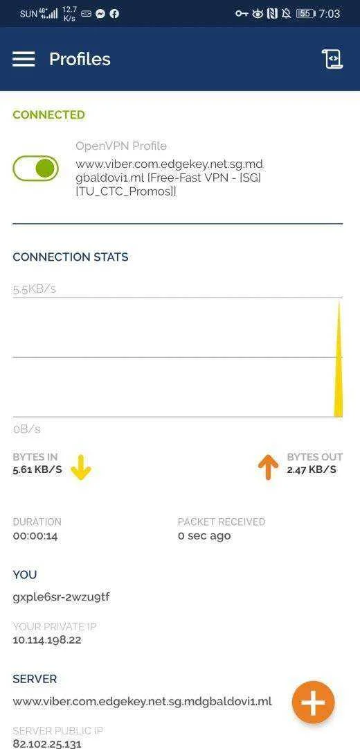 Screenshot_20200806_070347_net.openvpn.openvpn.webp
