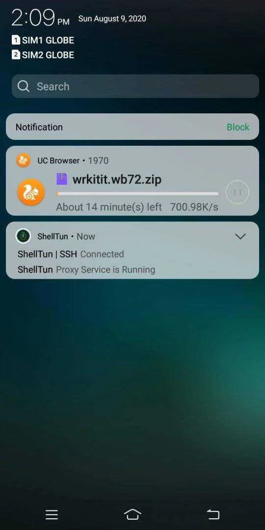 Screenshot_20200809_140932.jpg