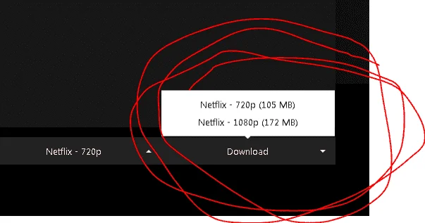 Capture.webp