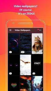 unnamed (4).webp