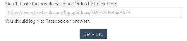 paste the video url.webp