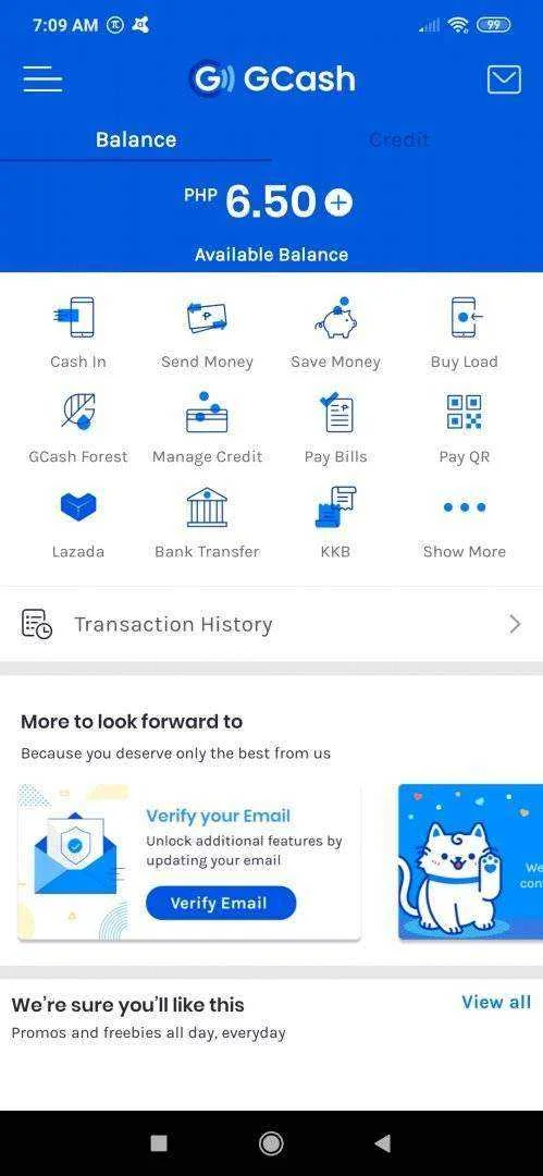 Screenshot_2020-08-13-07-09-00-749_com.globe.gcash.android.webp