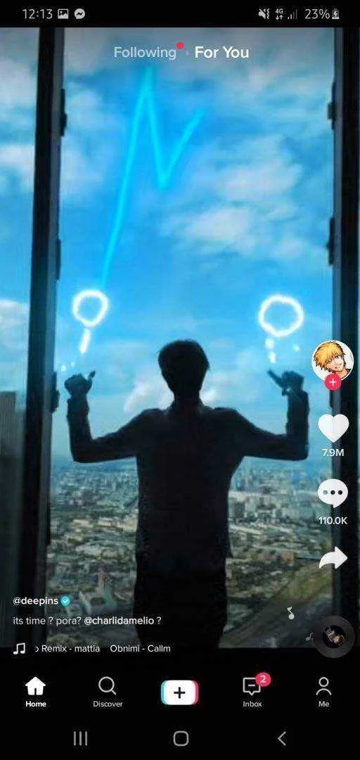 Screenshot_20200815-121338_TikTok.webp