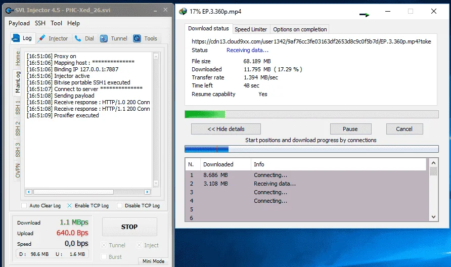 SVL.webp