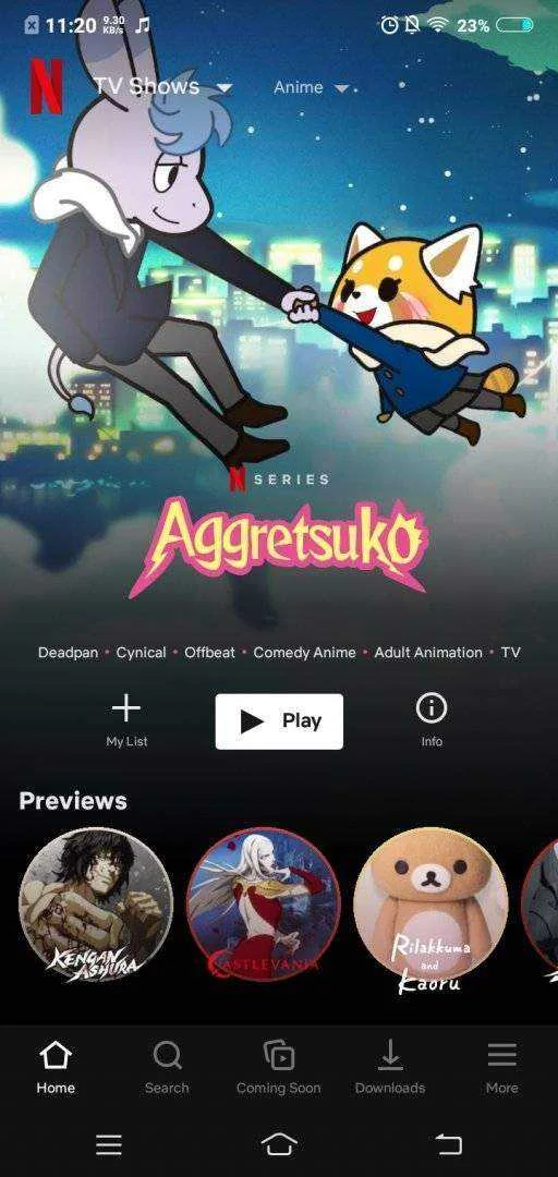 Anime on Netflix