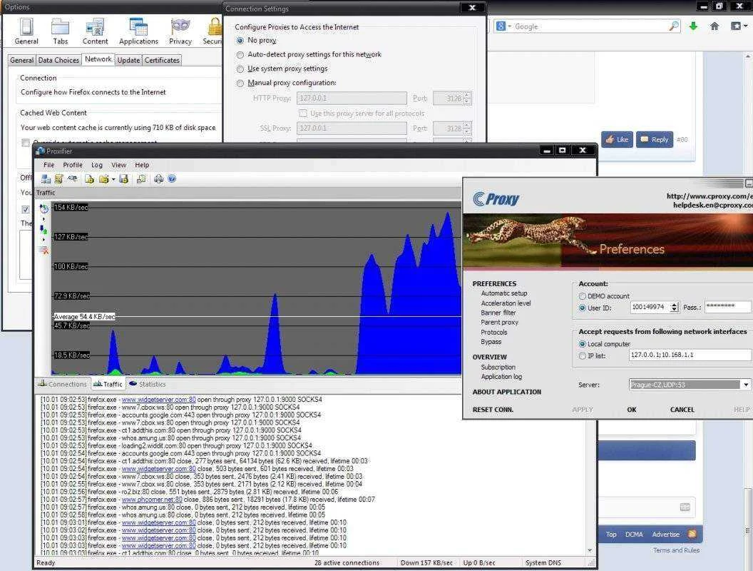 DL4.webp