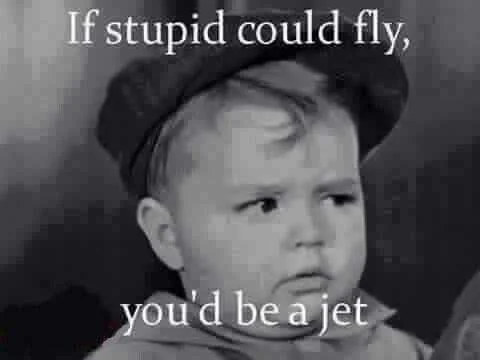 2b046cfeca2cda9e2bd20933a253a21f--funny-friday-pics-friday-quotes-funny.webp