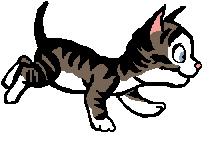 animated-cat-image-0072.gif