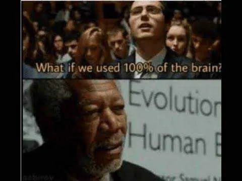 images (1).jpeg