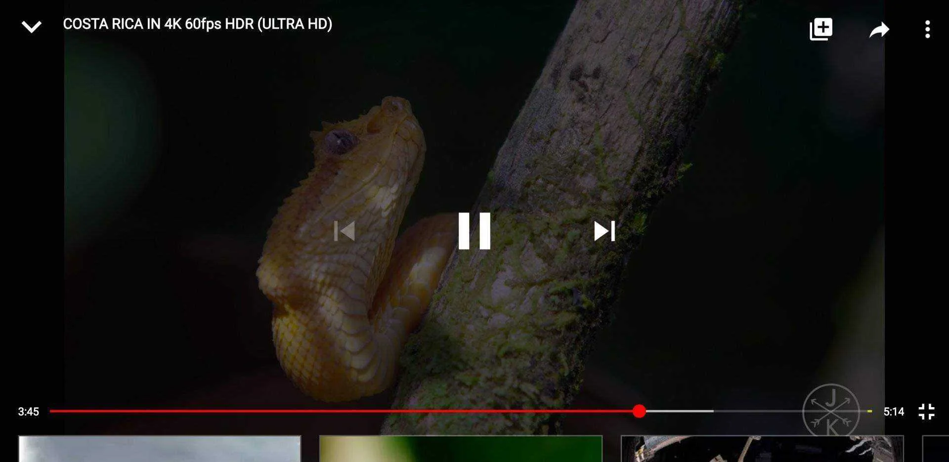 Screenshot_20200828-022731.webp