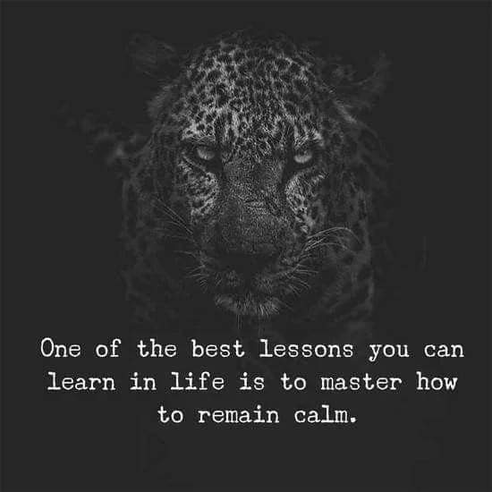 master calmness.webp