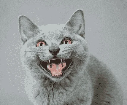 1599275346249.png