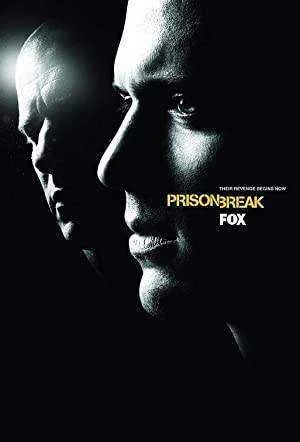 Prison Break Season 1-5 Complete BluRay 480p & 720p