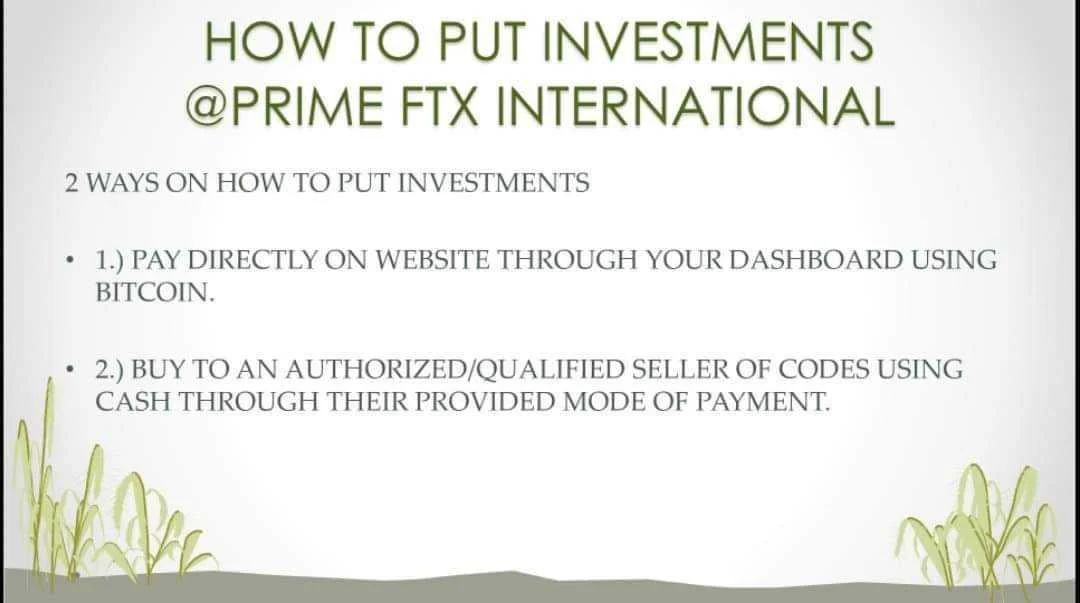 2.webp