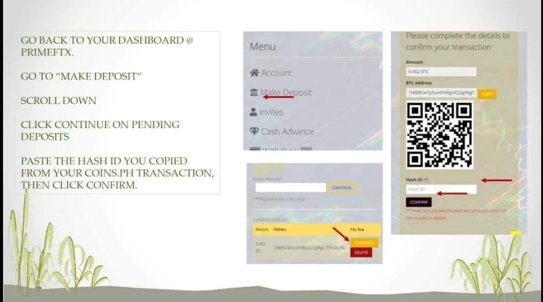11.webp