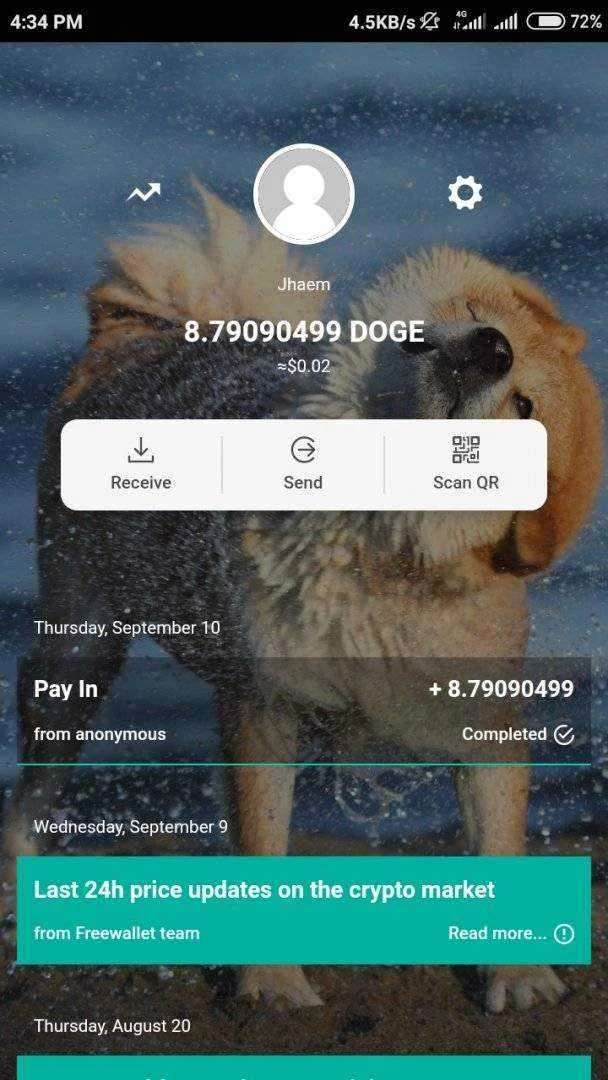Screenshot_2020-09-10-16-34-18-843_doge.org.freewallet.app.webp
