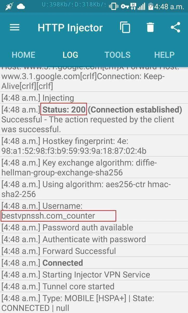 3.webp