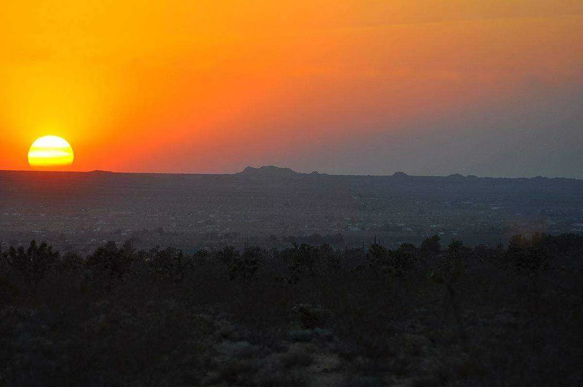 Sureal_Horizon.webp