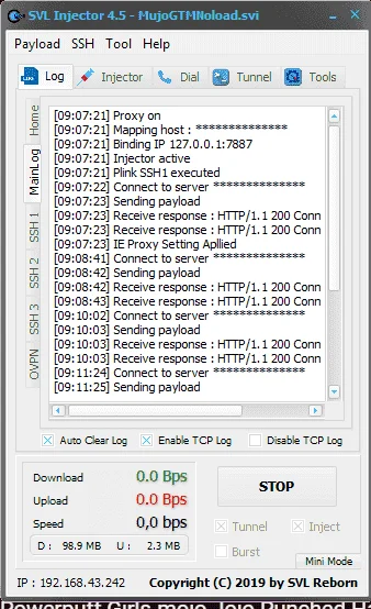 svl.webp