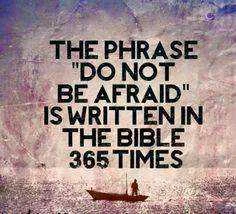 0f52a16c5c6453fd037f3389e710b746.webp
