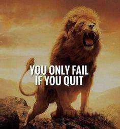 1a7784c4b9b9215fd3a35d5e9060ddd6.webp