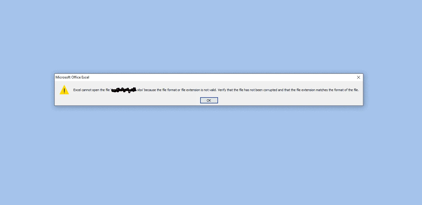 excel file.webp