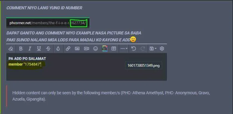 F1.webp