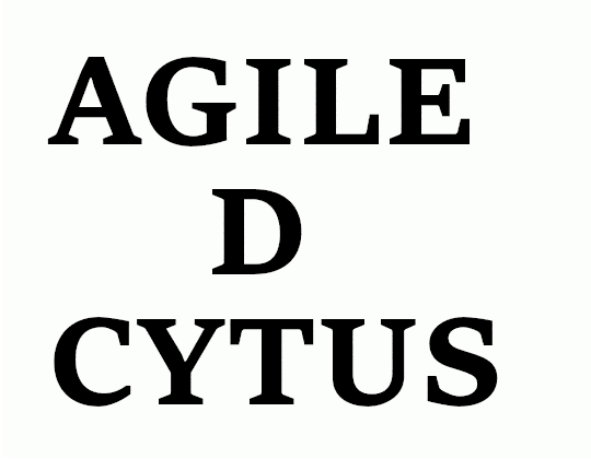 Cytus1.gif