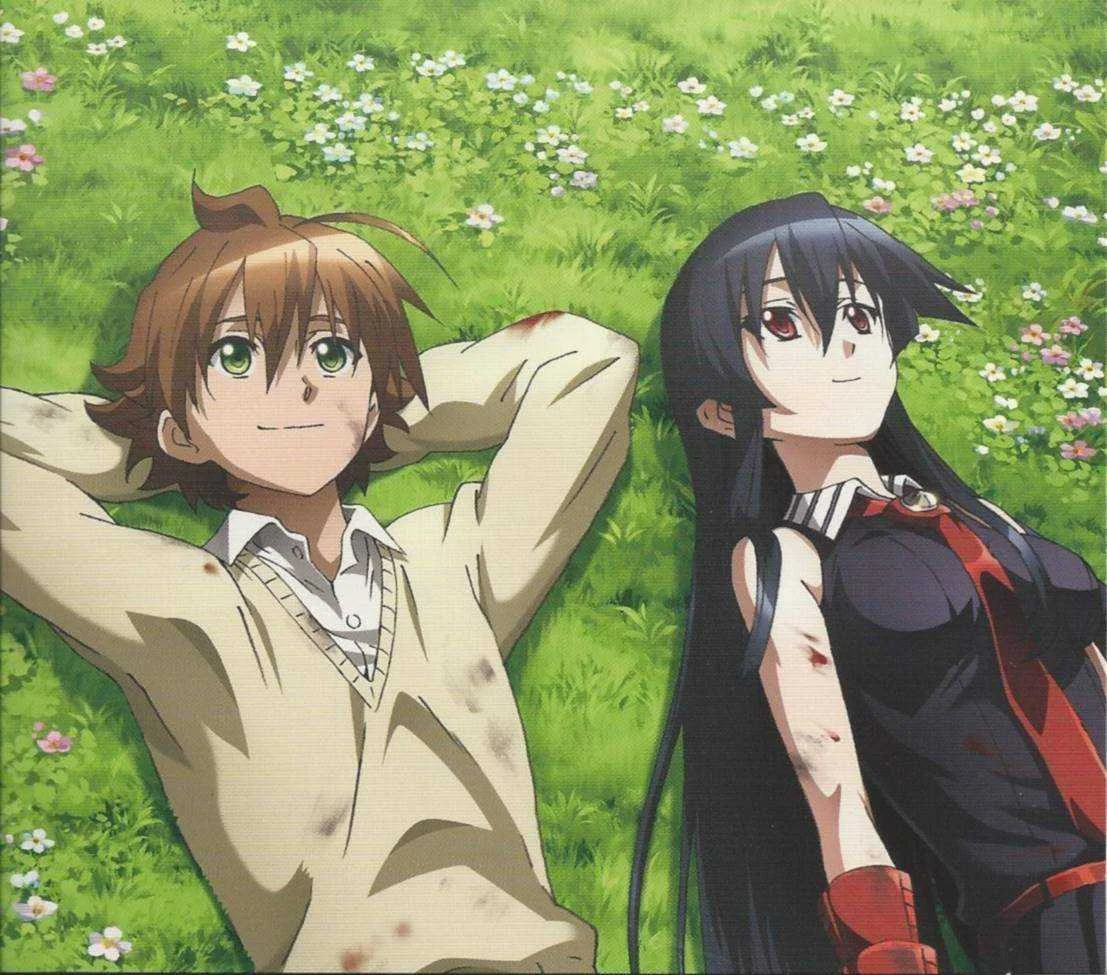 Akame Ga Kill (Episode 1 - 24) Low Size File