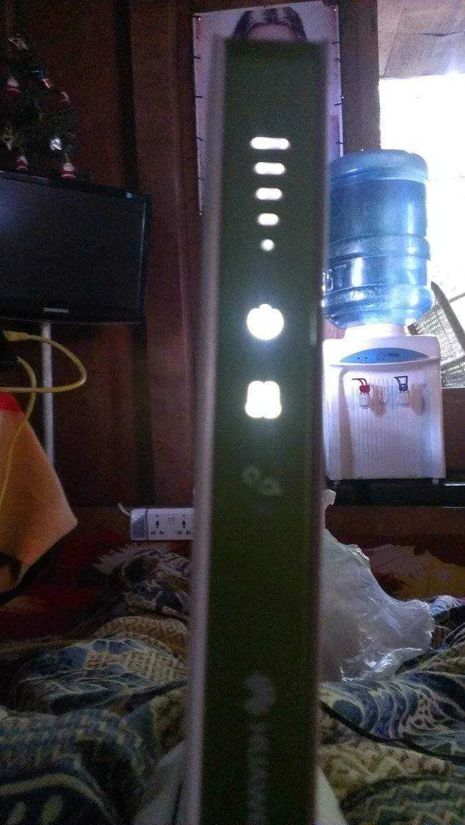 IMAG0254.webp