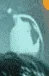 1603128638571.webp