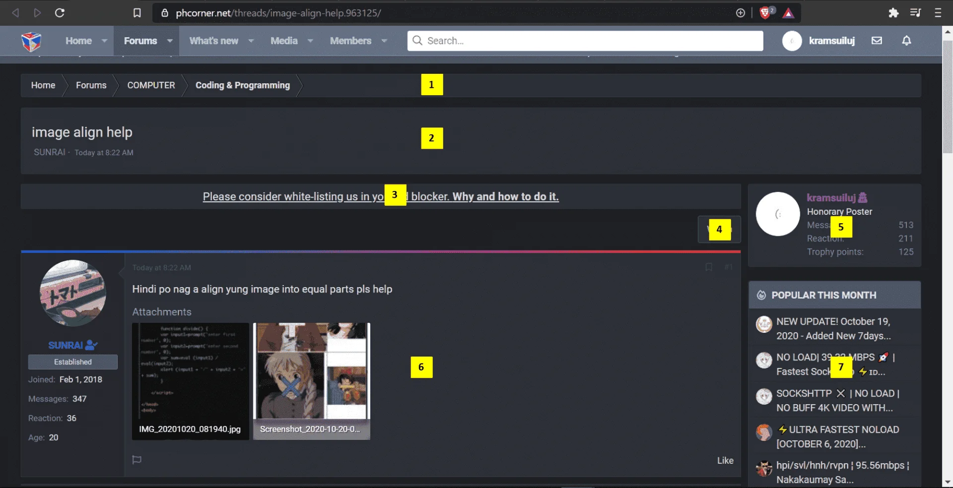28.webp