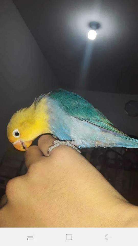 Screenshot_20201023-164842.webp