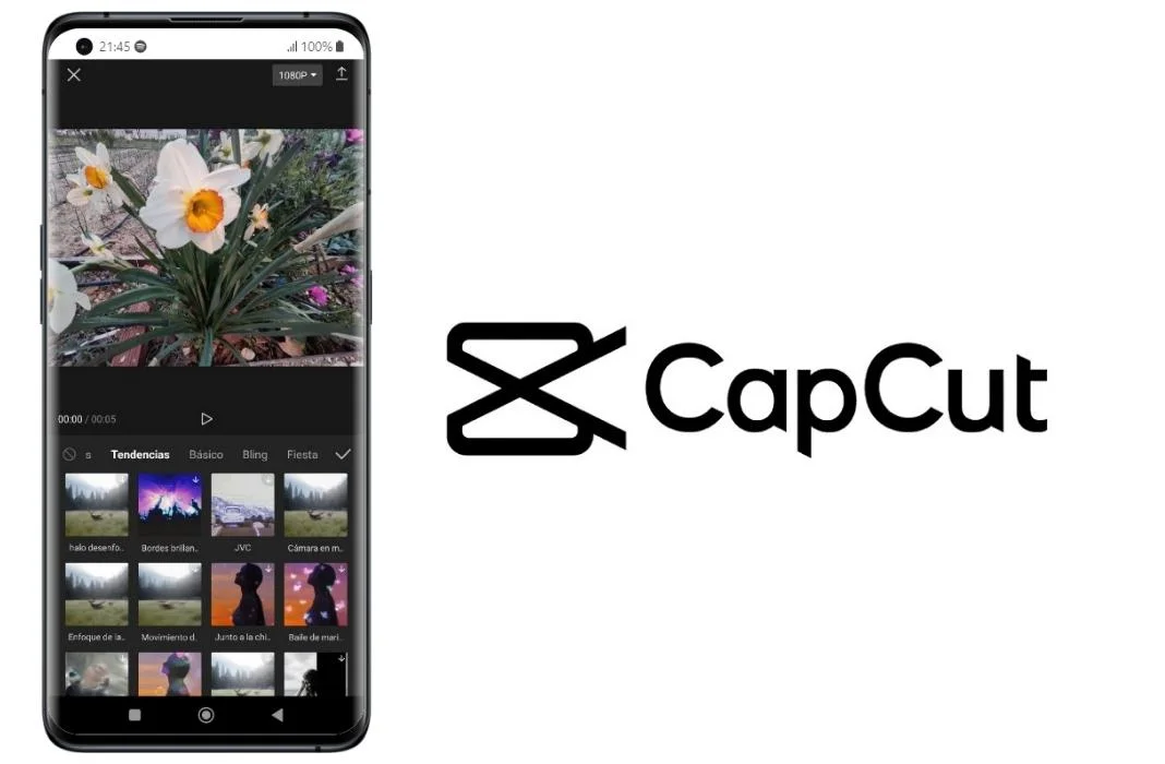 capcut.jpg