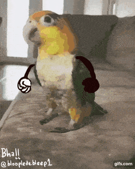 clearcutcostlychevrotain-size_restricted-gif.1181747