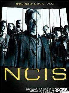 Ncis s14e17 hdtvx264