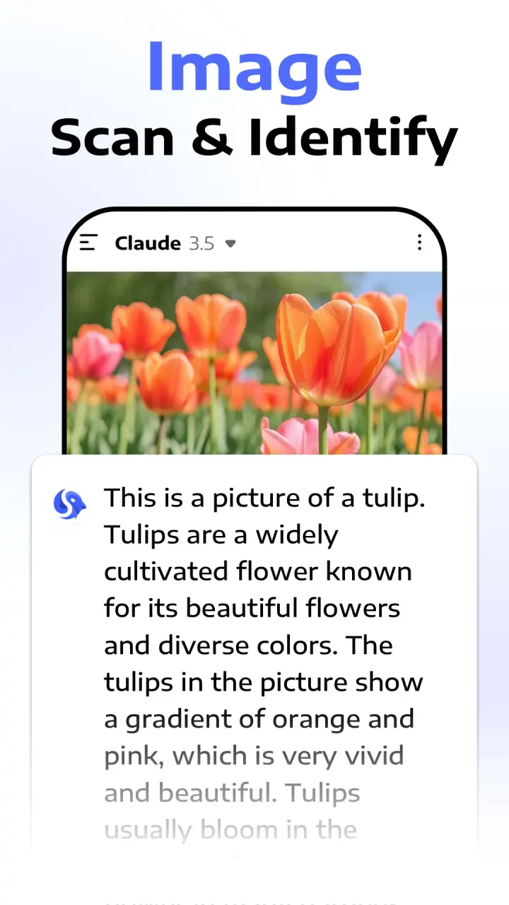 unnamed (1).webp