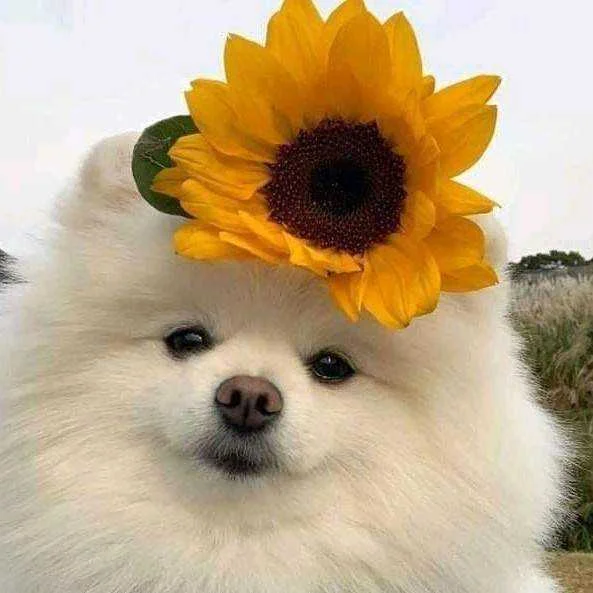1609330696324.jpg