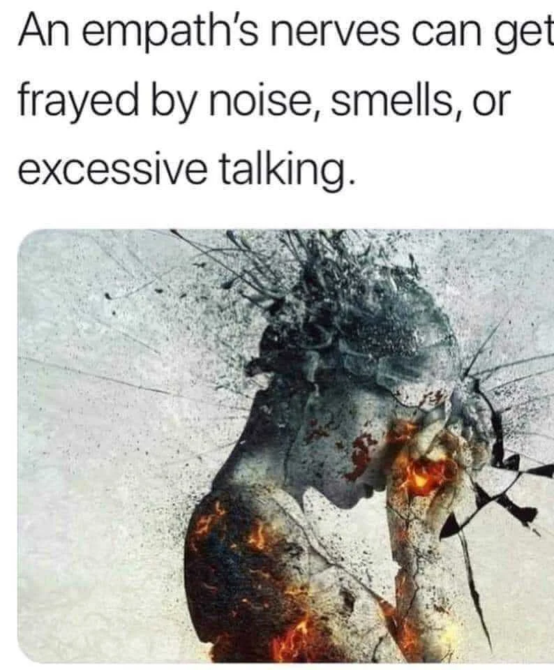 a1.jpg