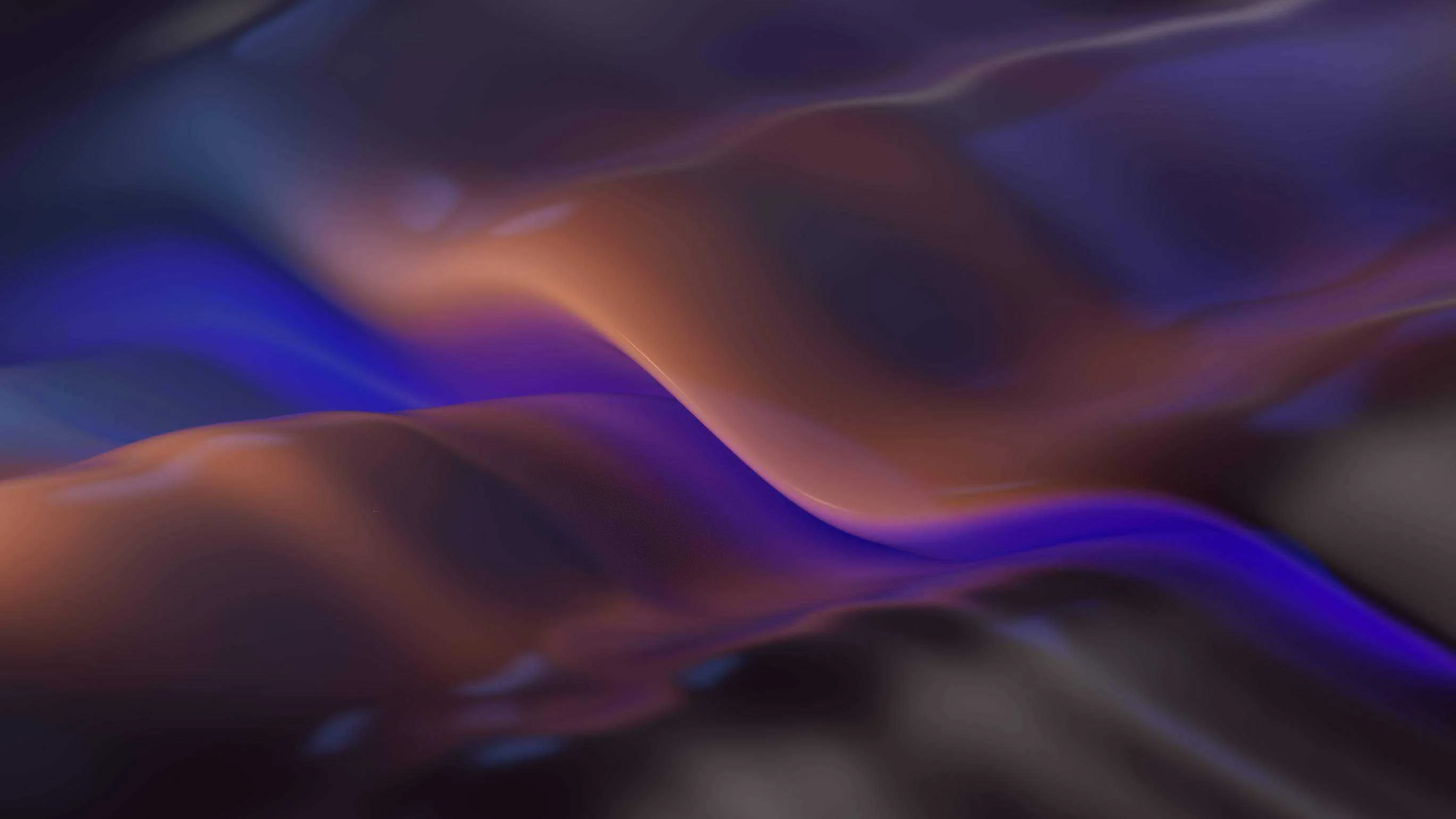 Windows 11 Wallpaper 24