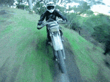 IMG_20210814_091001.gif