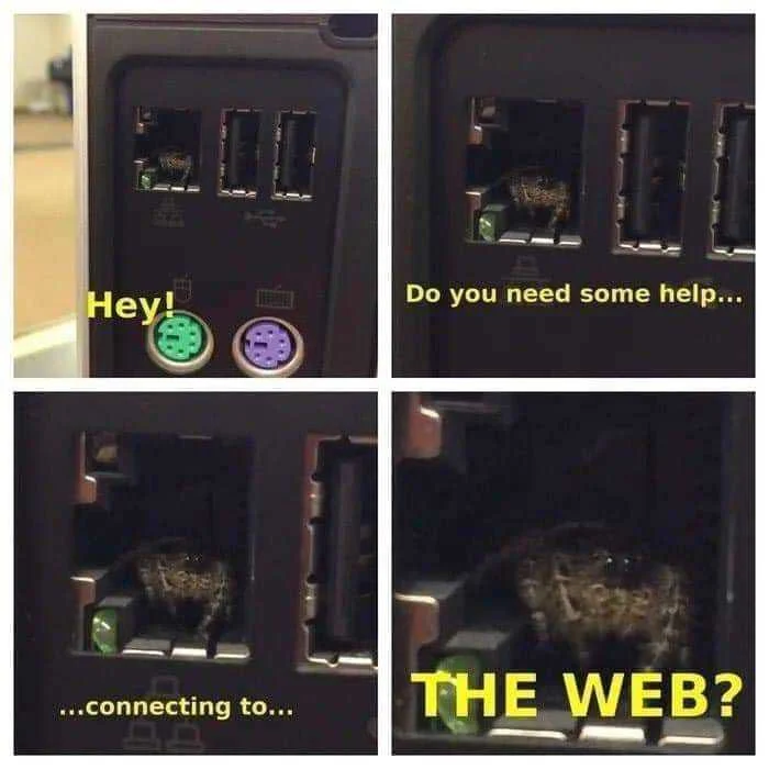 WEB