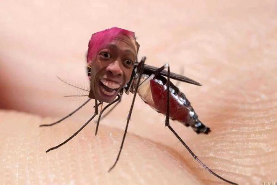 lalalala lamok. lamok