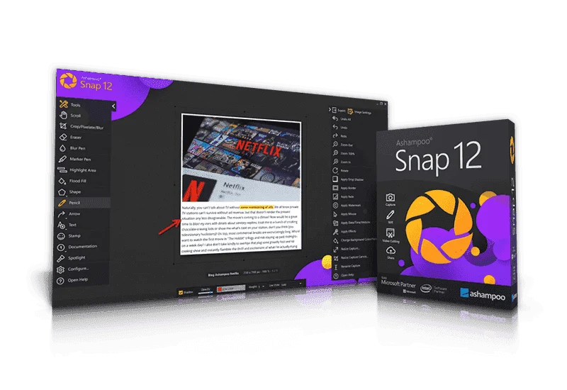 Ashampoo-Snap-12-Discount-Coupon-Sale.png