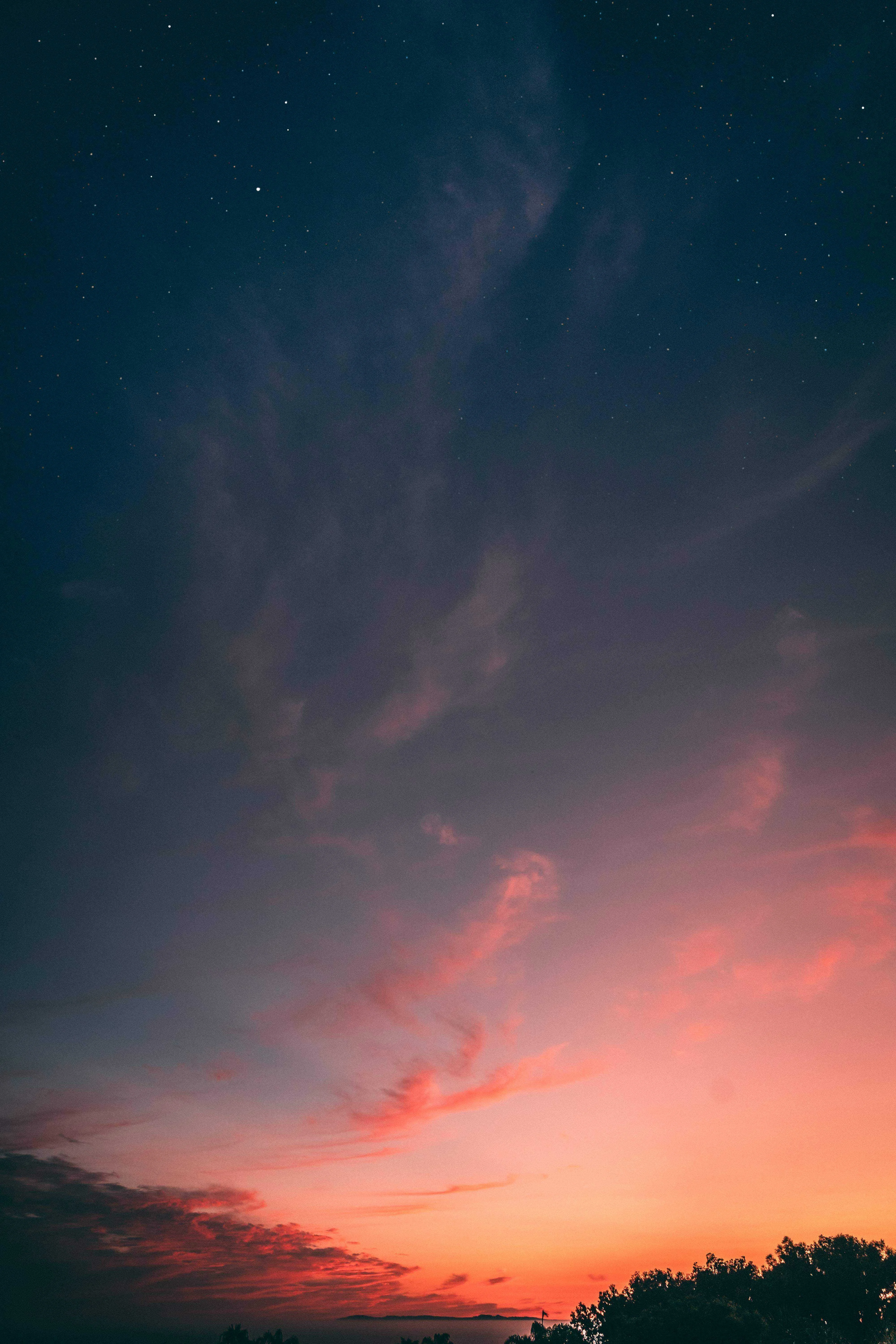 gavin-spear--w7cIBhIaXA-unsplash.jpg